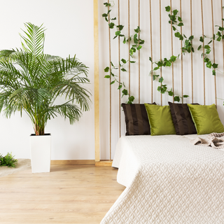 Embracing Earthy Elegance: Trending Home Decor in Natural Hues and Lush Greenery